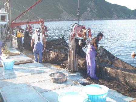 定置網漁8/8-5 定置網漁8/8-5