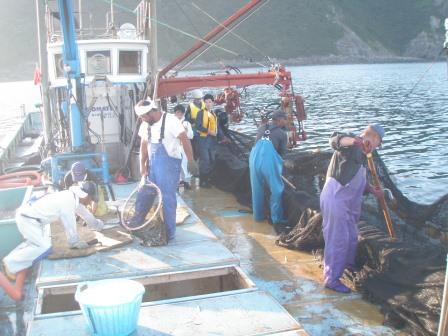 定置網漁8/8-8 定置網漁8/8-8