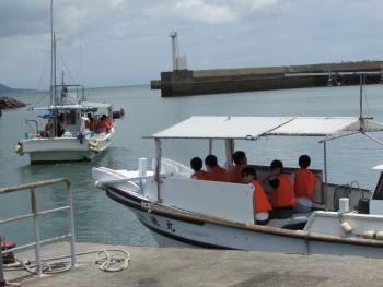 イルカウォッチング イルカウォッチング