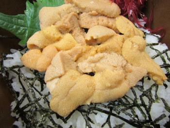 ウニ丼 ウニ丼