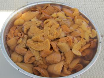 うに製造 うに製造