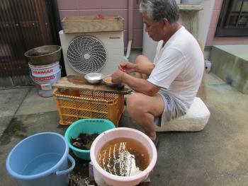 うに製造 うに製造