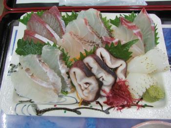 刺身定食 刺身定食