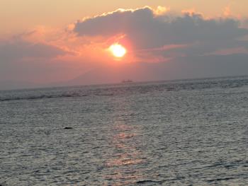 夕日 夕日