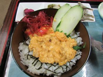 ウニ丼 ウニ丼
