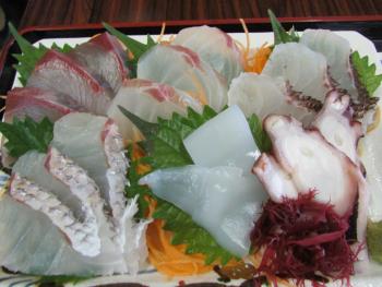 刺身定食 刺身定食