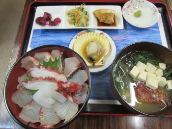 イルカウォッチング イルカウォッチング