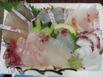 刺身定食 刺身定食