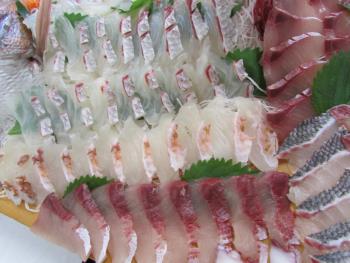 刺身食べ放題 刺身食べ放題