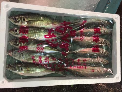 パーチを貼る パーチを貼る