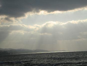 カーテン カーテン