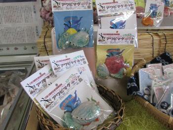 アワビマグネット アワビマグネット