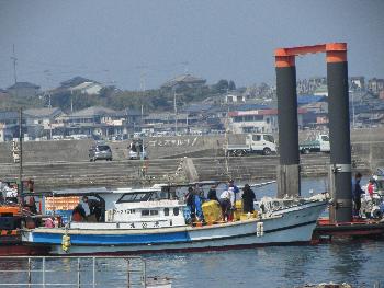 ワカメ揚げ ワカメ揚げ