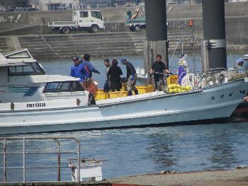 ワカメ揚げ ワカメ揚げ