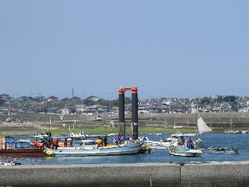 ワカメかけ ワカメかけ