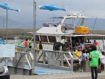 イルカウォッチング イルカウォッチング