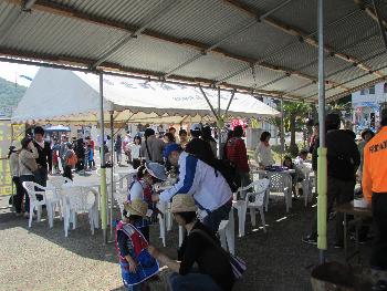 イルカウォッチング イルカウォッチング