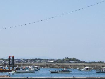 とさかがけ とさかがけ