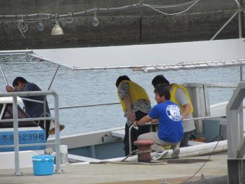 イルカウォッチング イルカウォッチング