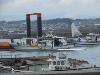 トサカ漁 トサカ漁