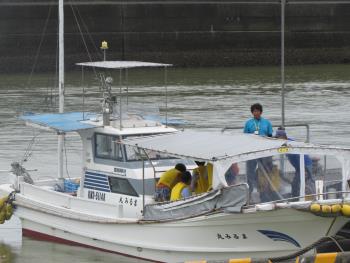 イルカウォッチング イルカウォッチング