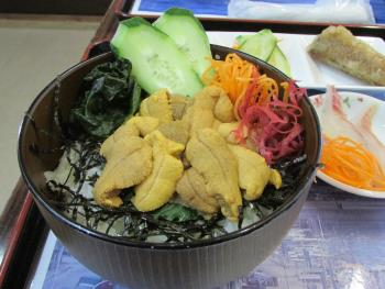ウニ丼 ウニ丼