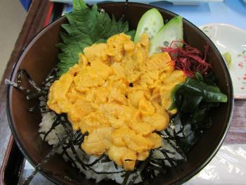 ウニ丼 ウニ丼