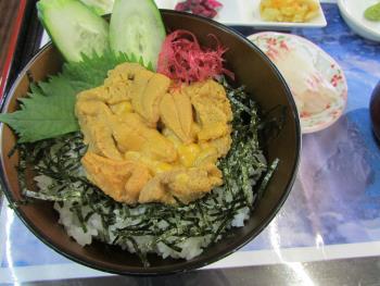 ウニ丼 ウニ丼
