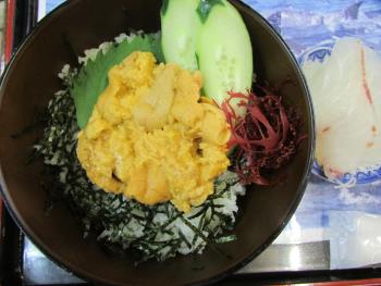 ウニ丼 ウニ丼