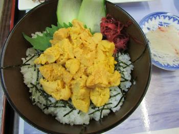 ウニ丼 ウニ丼