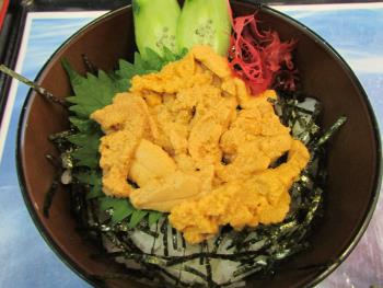 ウニ丼 ウニ丼