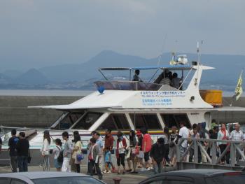 イルカウォッチング イルカウォッチング