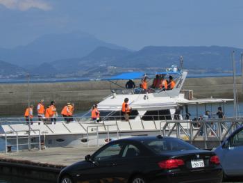 イルカウォッチング イルカウォッチング