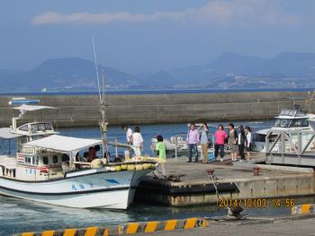 イルカウォッチング イルカウォッチング