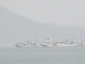 イルカウォッチング イルカウォッチング