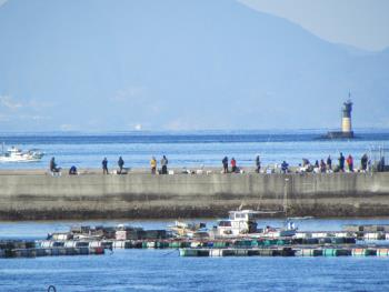 魚釣り 魚釣り