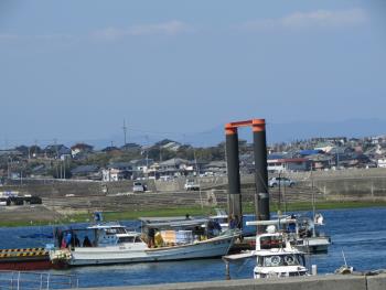 ワカメ漁 ワカメ漁