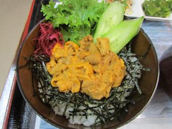 ウニ丼 ウニ丼