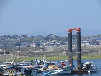 ワカメかけ ワカメかけ