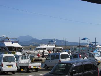 イルカウォッチング イルカウォッチング