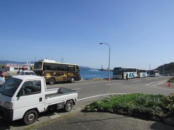 イルカウッチング イルカウッチング