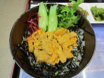 ウニ丼 ウニ丼