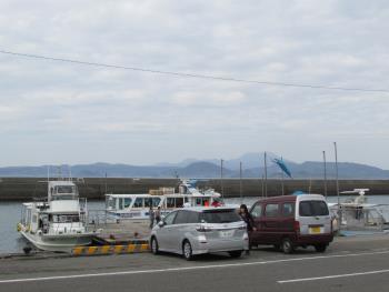 イルカウォッチング イルカウォッチング