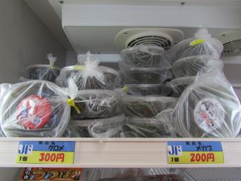 クロメ・メカブ クロメ・メカブ