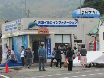 イルカウォッチング イルカウォッチング