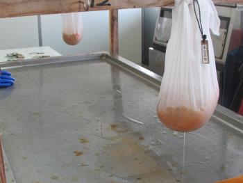 ウニかけ ウニかけ