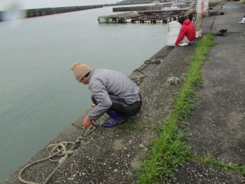 イカダ作り イカダ作り