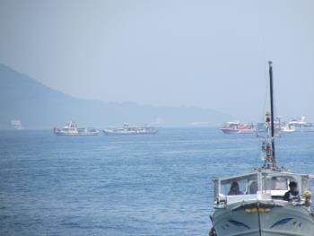 イルカウォッチング イルカウォッチング