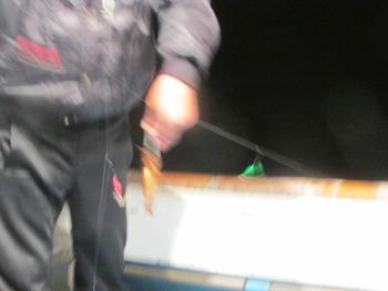 イカ釣り イカ釣り