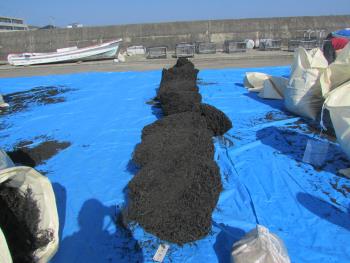 ヒジキかけ ヒジキかけ